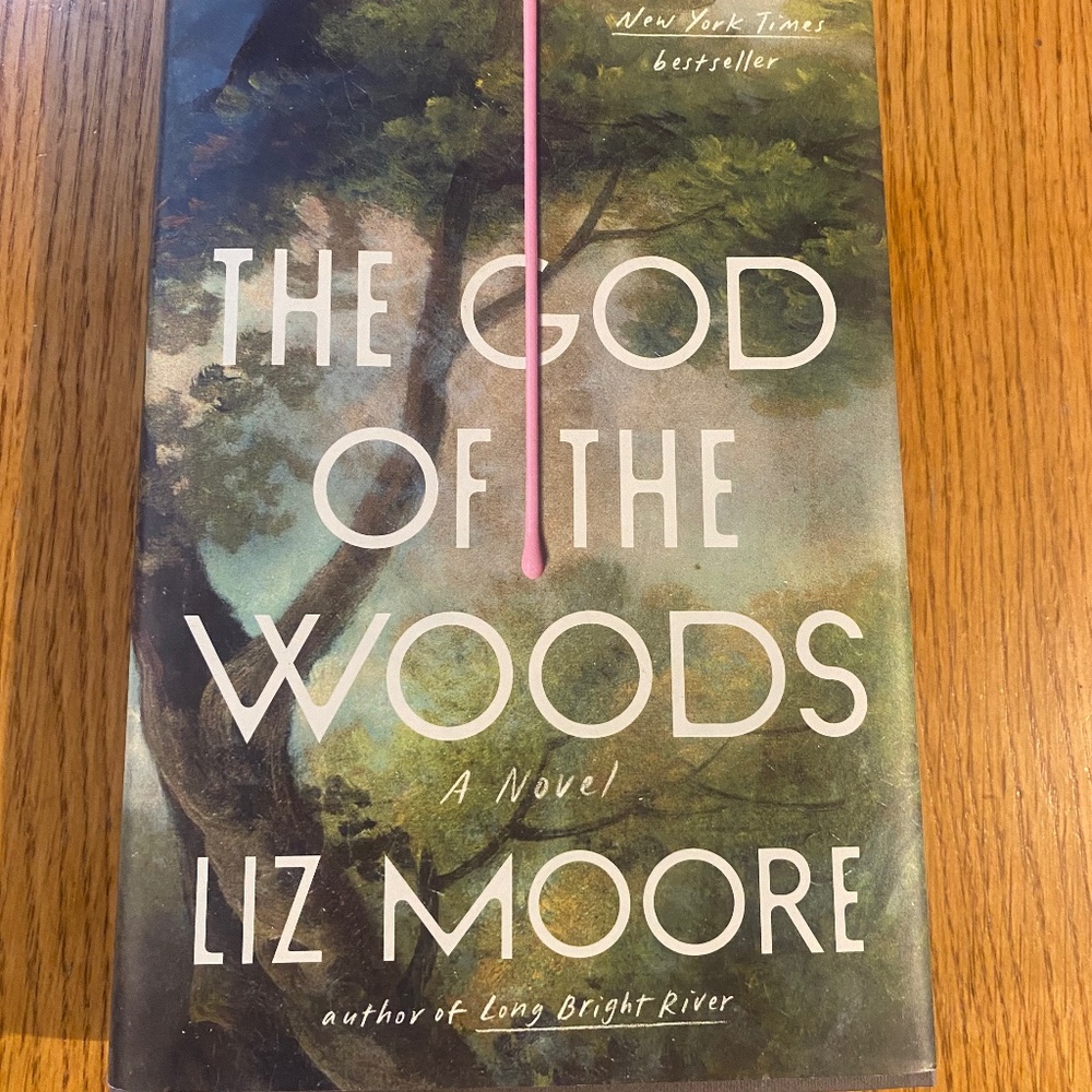 The God of the Woods by Liz Moore